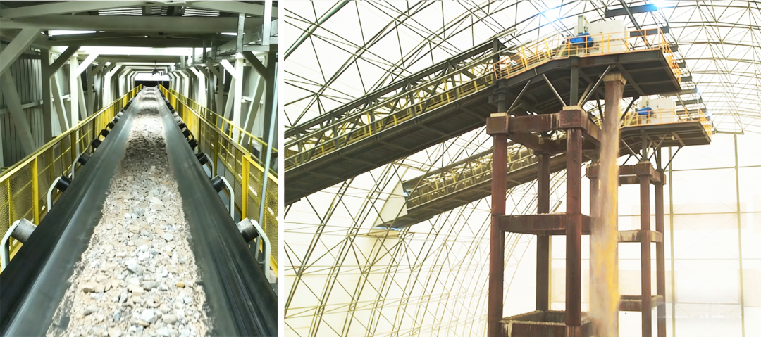 微信圖片_2026-04-03_142024_194 微信圖片_2026-04-03_142024_194